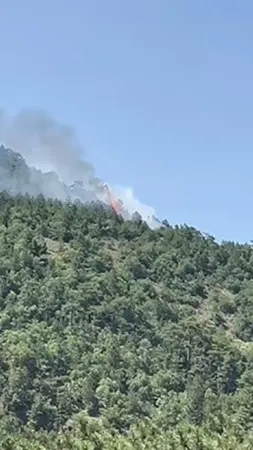 Ankara’da orman yangını çıktı