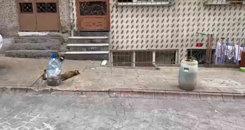 Sokaklara duba koymak yasal değil