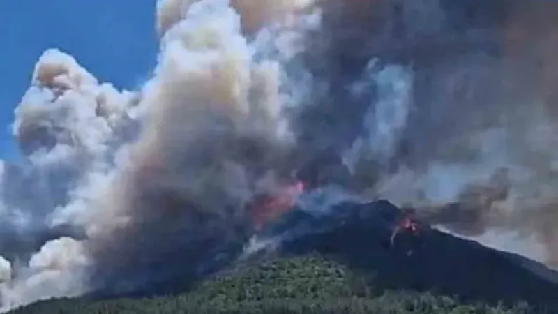 İzmir Menderes’te orman yangını