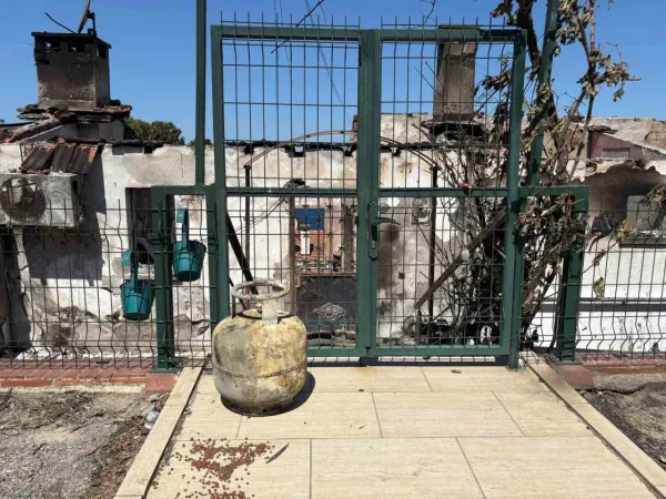 İzmir’deki yangında 85 yazlık ev küle döndü