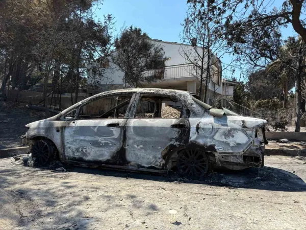 İzmir’deki yangında 85 yazlık ev küle döndü