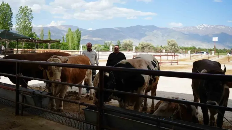 Hayvan pazarları geçici süreyle kapatıldı