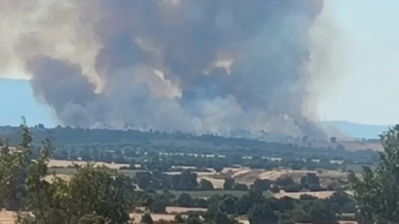 Bulgaristan’daki orman yangını Türkiye sınırına dayandı