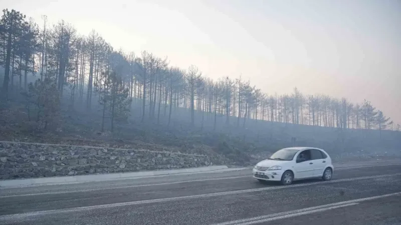 Bursa’daki orman yangınında 3. gün