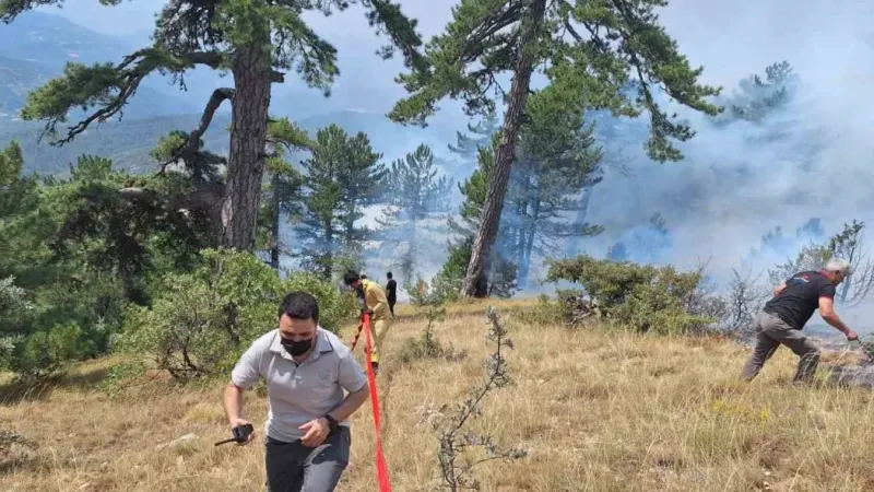 Bolu’da çıkan orman yangını kontrol altına alındı