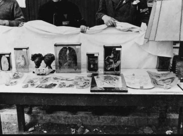 Nazilerin kan donduran deneyleri