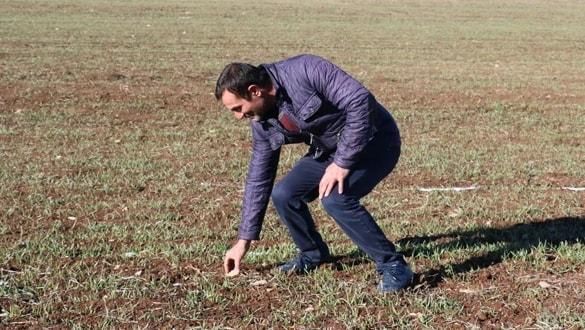 Tarlasında buldu, bankada saklıyor! Ruslar peşine düştü