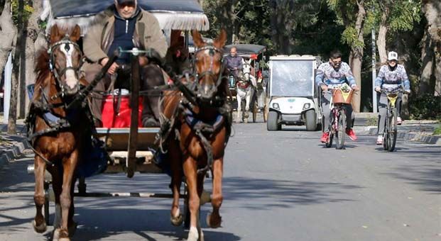 İBB’den Adalar’daki fayton plakası için 300 bin TL ödeme