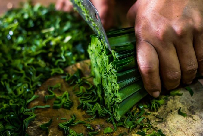 Maydanozun bilinmeyen yararları