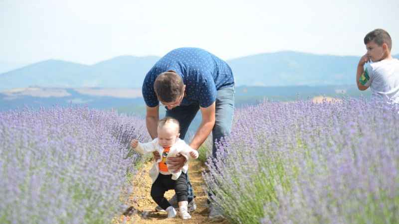 Tekirdağ'da mor turizm başladı