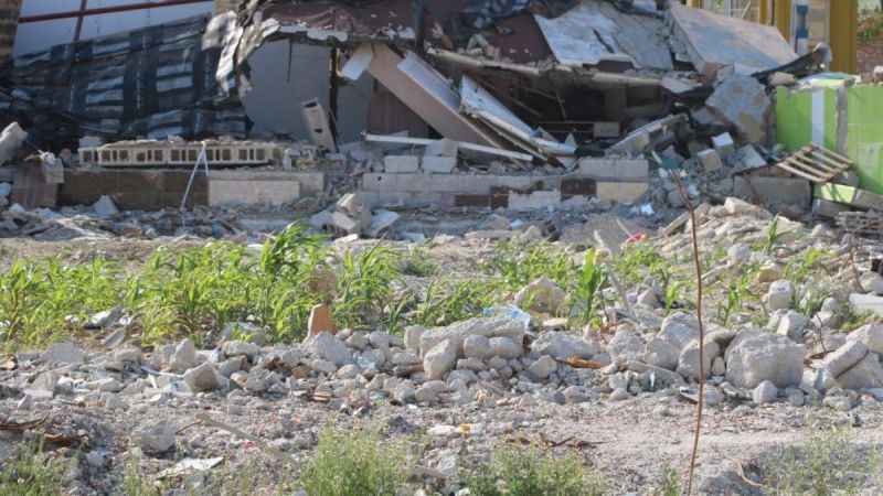 Enkazdan umut yeşerdi