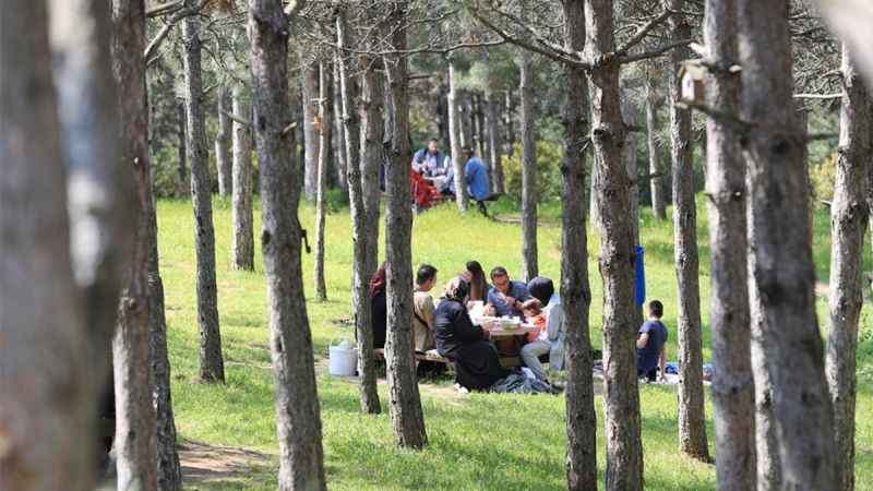 İstanbul'da orman yangınlarına karşı önlem: Girişler yasaklandı