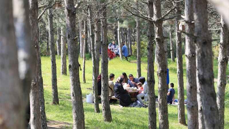 İstanbul'da orman yangınlarına karşı önlem: Girişler yasaklandı