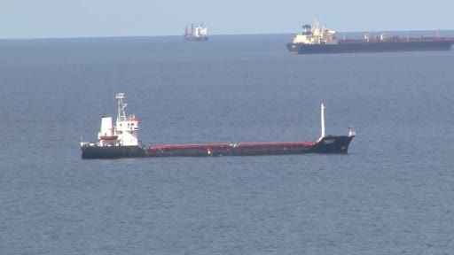 Ukrayna tahılını taşıyan gemi İstanbul Boğazı açıklarında