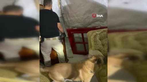 Van’da bölücü terör örgütüne yapılan operasyonda 3 terörist yakalandı