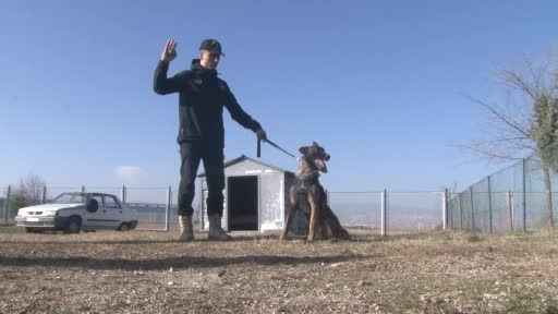 Türk Hava Kuvvetleri’nin hassas burunları