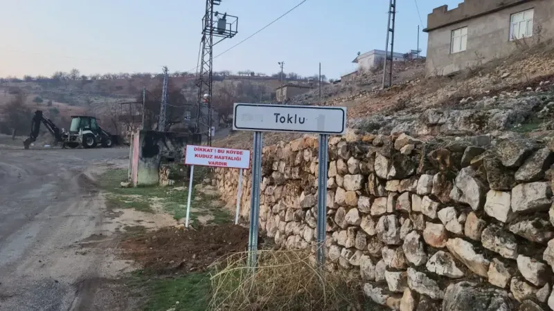 Adıyaman’da bir köye kuduz karantinası uygulandı!