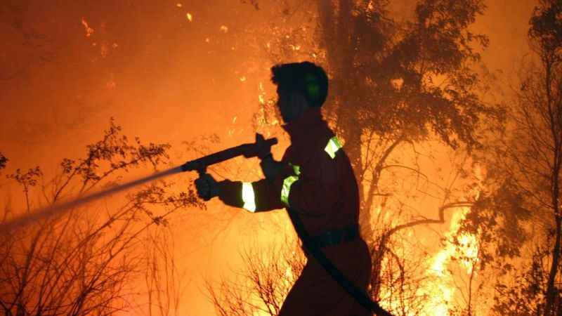 Yeşil vatanın isimsiz kahramanları ‘Ormancılar’