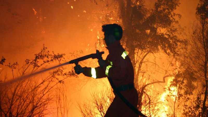 Yeşil vatanın isimsiz kahramanları ‘Ormancılar’