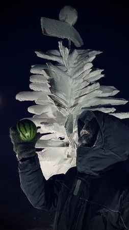 Rus bilim adamları Antarktika’da karpuz yetiştirdi