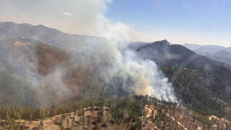 Feke'de orman yangını