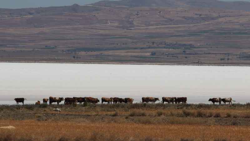 Suyu gitti, tuzu kaldı