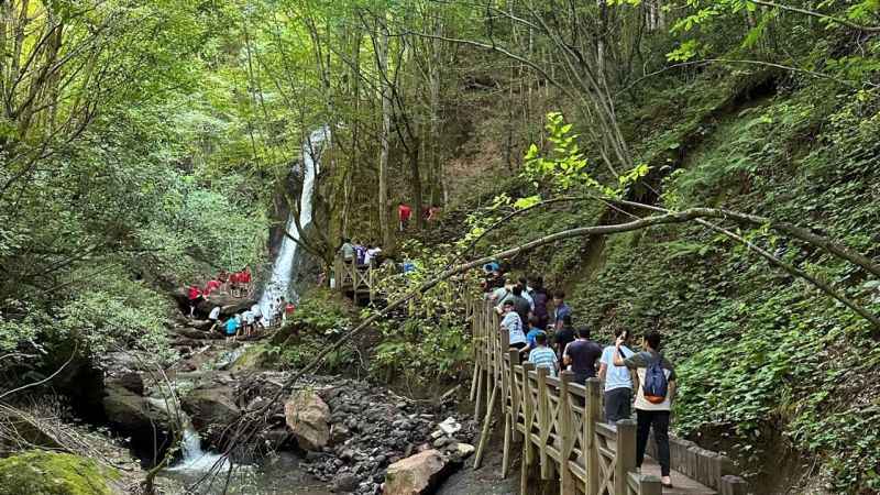Güreş için geldiler kültür turu yaptılar