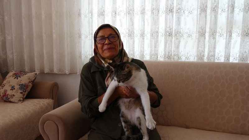 Depremde kaybettikleri kedilerini 5 ay sonra buldular