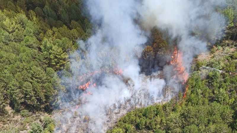 Muğla’da orman yangını