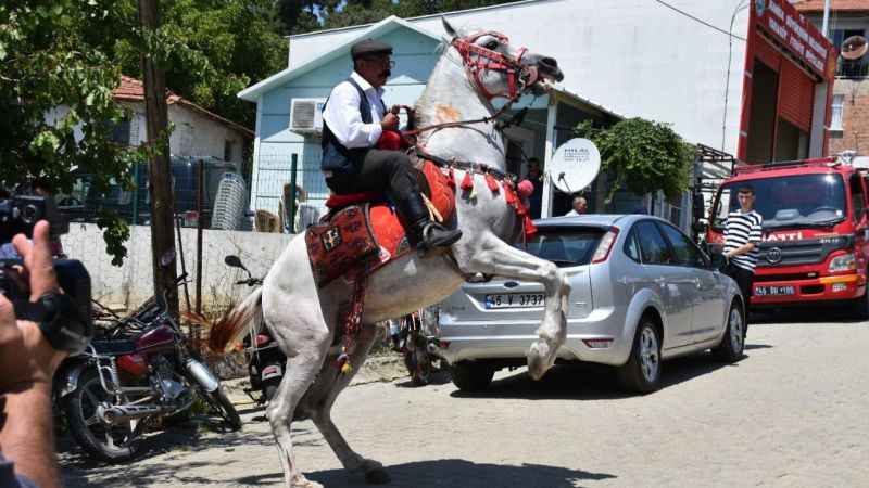 Sahibiyle karşılıklı harmandalı oynayan at