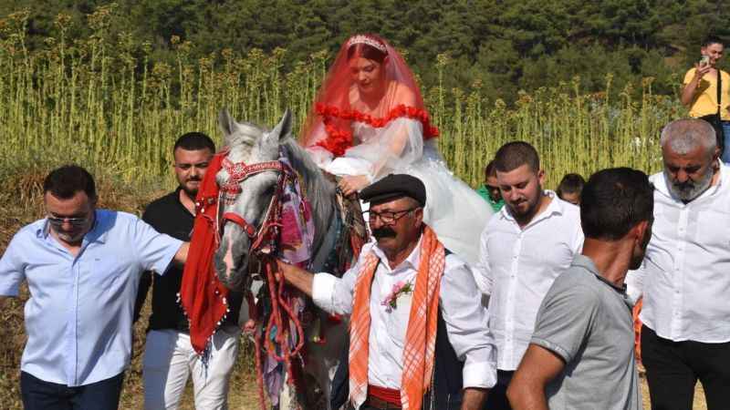 Sahibiyle karşılıklı harmandalı oynayan at