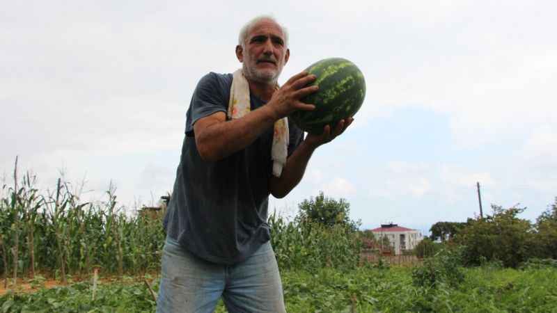 Yalıncak karpuzu tehlike altında