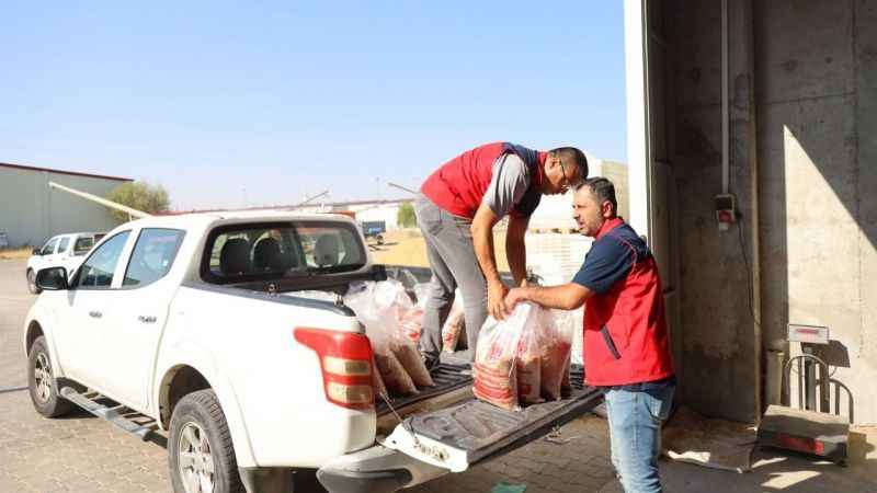 Belediye boş tarlalara ektiği nohutları ihtiyaç sahiplerine dağıtıyor