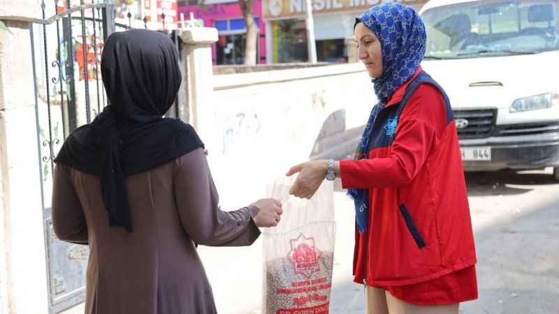 Belediye boş tarlalara ektiği nohutları ihtiyaç sahiplerine dağıtıyor