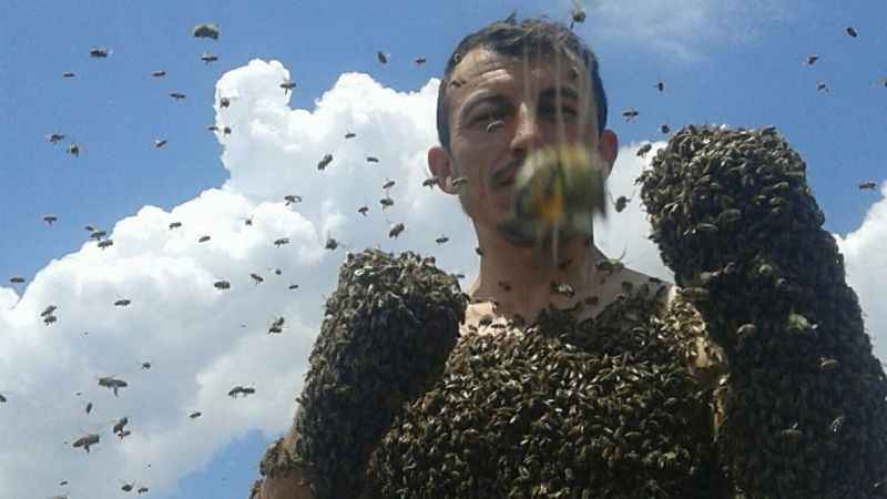 Arı adam görenleri hayrete düşürüyor