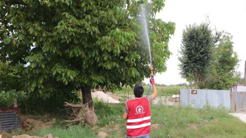 Asya Kaplanı türüne dikkat!