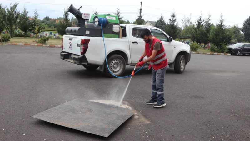 Asya Kaplanı türüne dikkat!