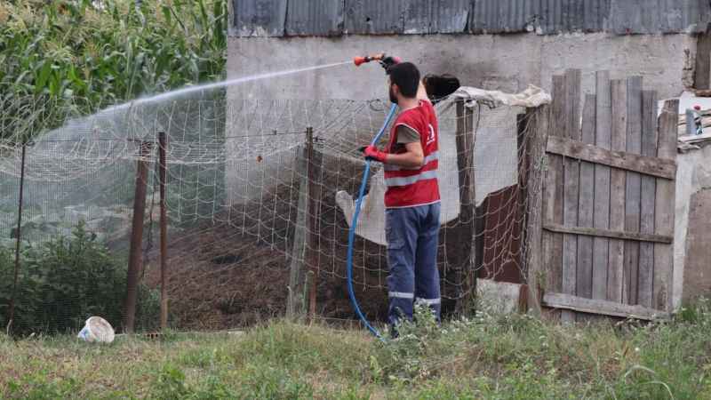 Asya Kaplanı türüne dikkat!