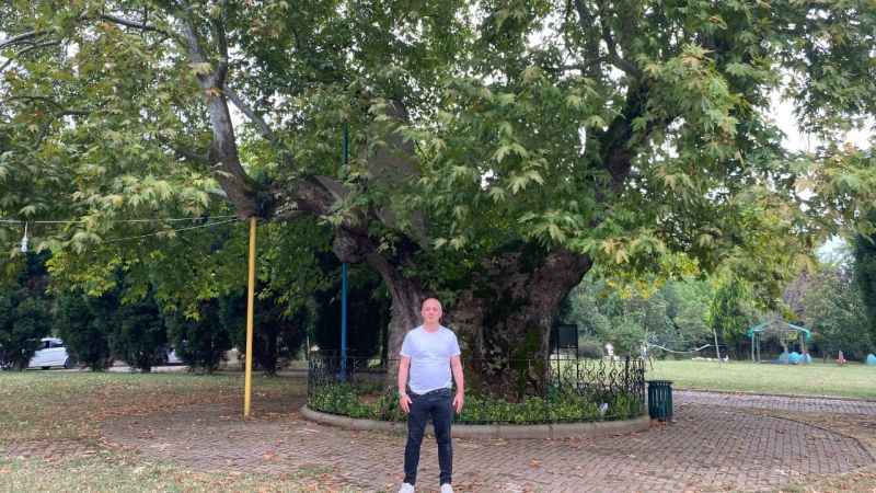 Bu ağaç 929 yaşında Bu ağaç 929 yaşında