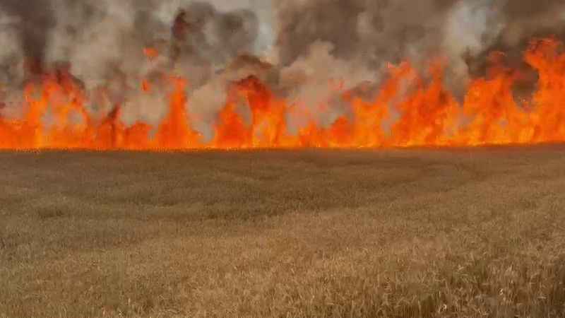 Sivas'ta 3 bin dönümlük buğday tarlası kül oldu