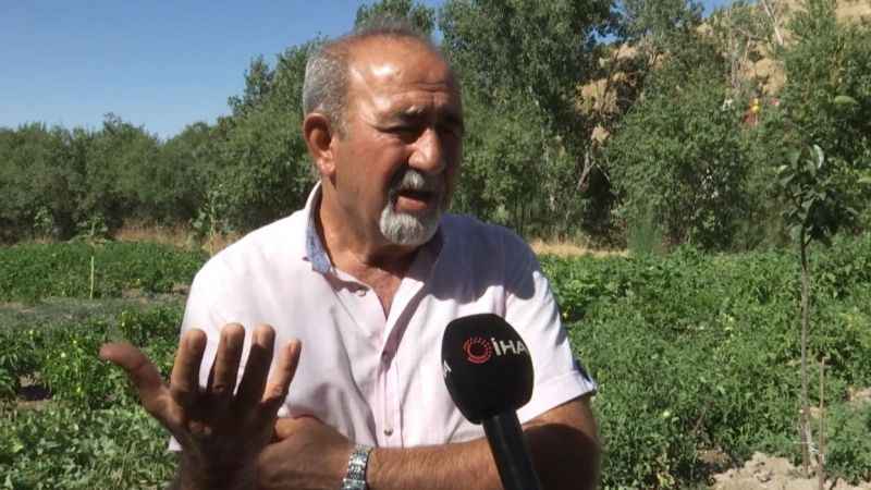 Tarlada heyecanlandıran keşif: Kazı çalışmaları başladı