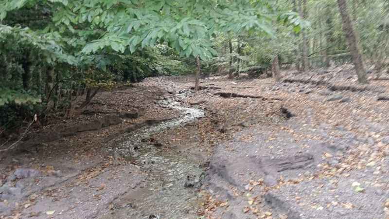 Dere yatağında altın arıyorlar