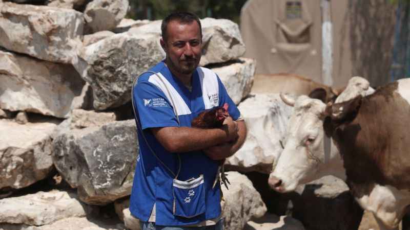 Emekli hayvanlar böyle dinleniyor