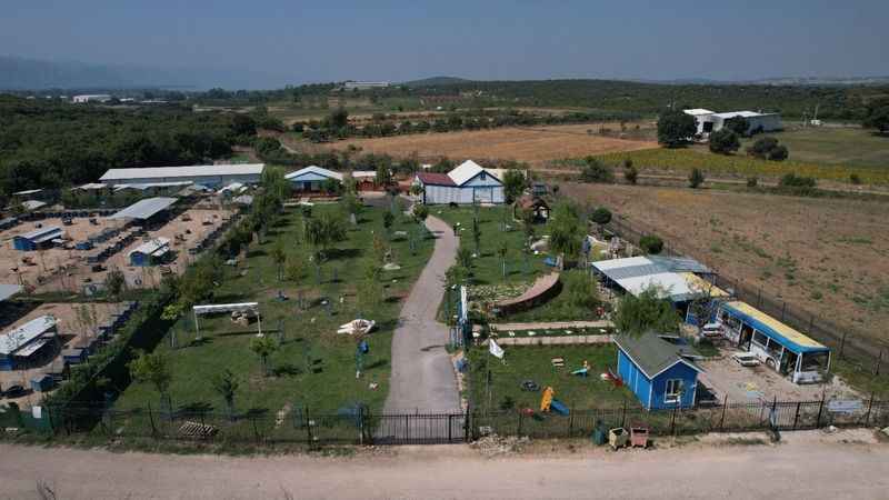 Emekli hayvanlar böyle dinleniyor