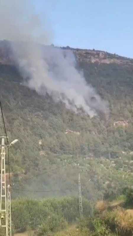 Mersin'de orman yangını