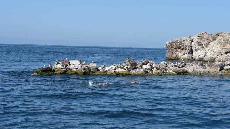 Sarayburnu’ndan Sivri Ada’ya 16.5 kilometrelik yüzme geçişi için ilk adım atıldı