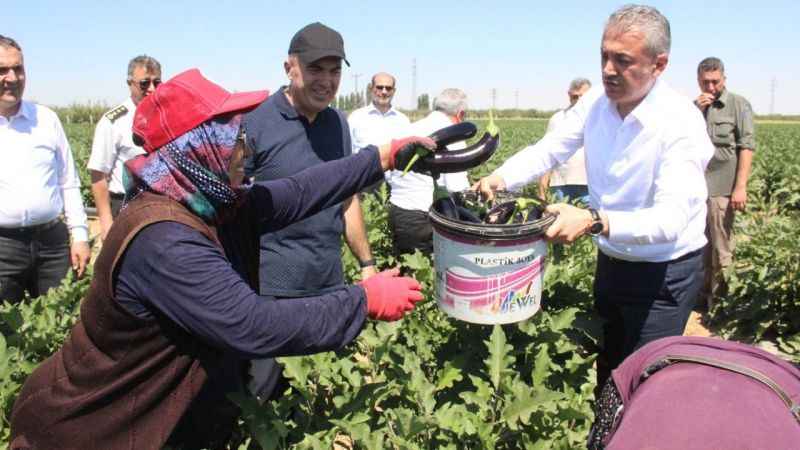 Karaman’da sebze üretimi artıyor