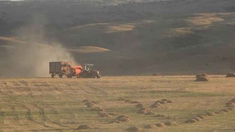 Tarım-ÜFE yıllık yüzde 62,48 arttı