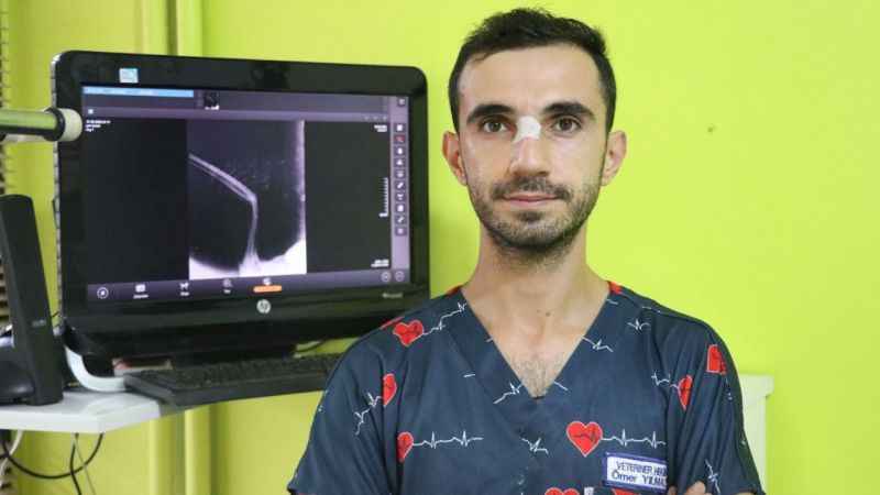 Şah kartalı, pençe darbesiyle veterineri yaraladı