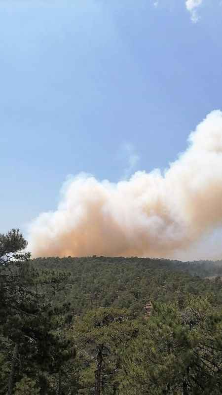 Acıpayam’da orman yangını